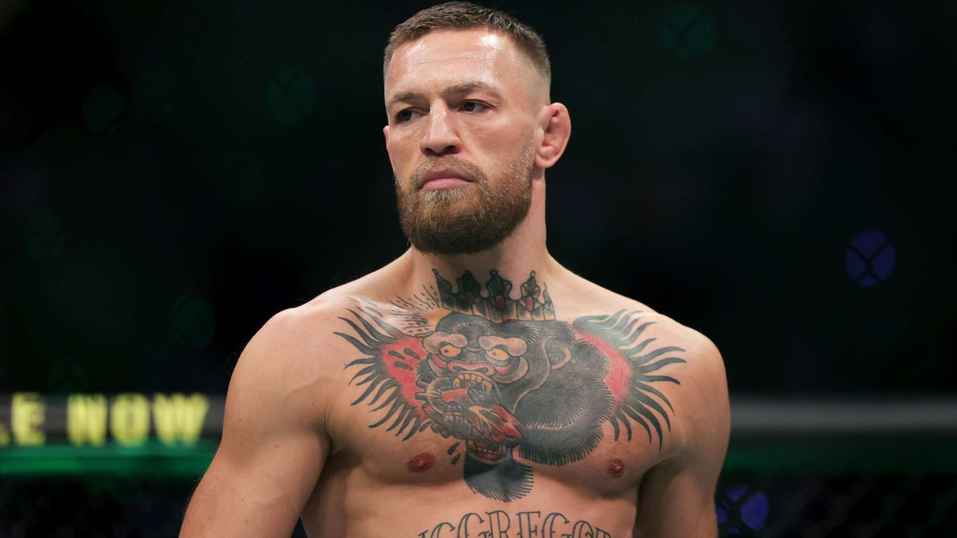 中国队的实 中国队的实