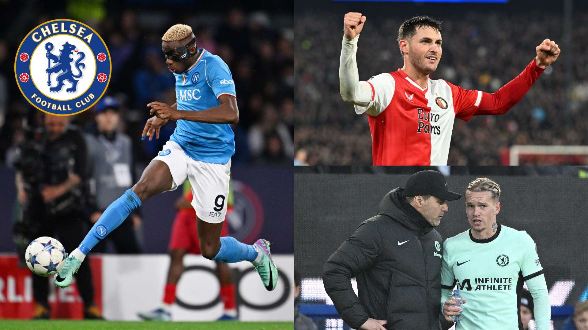 名运动员的 名运动员的