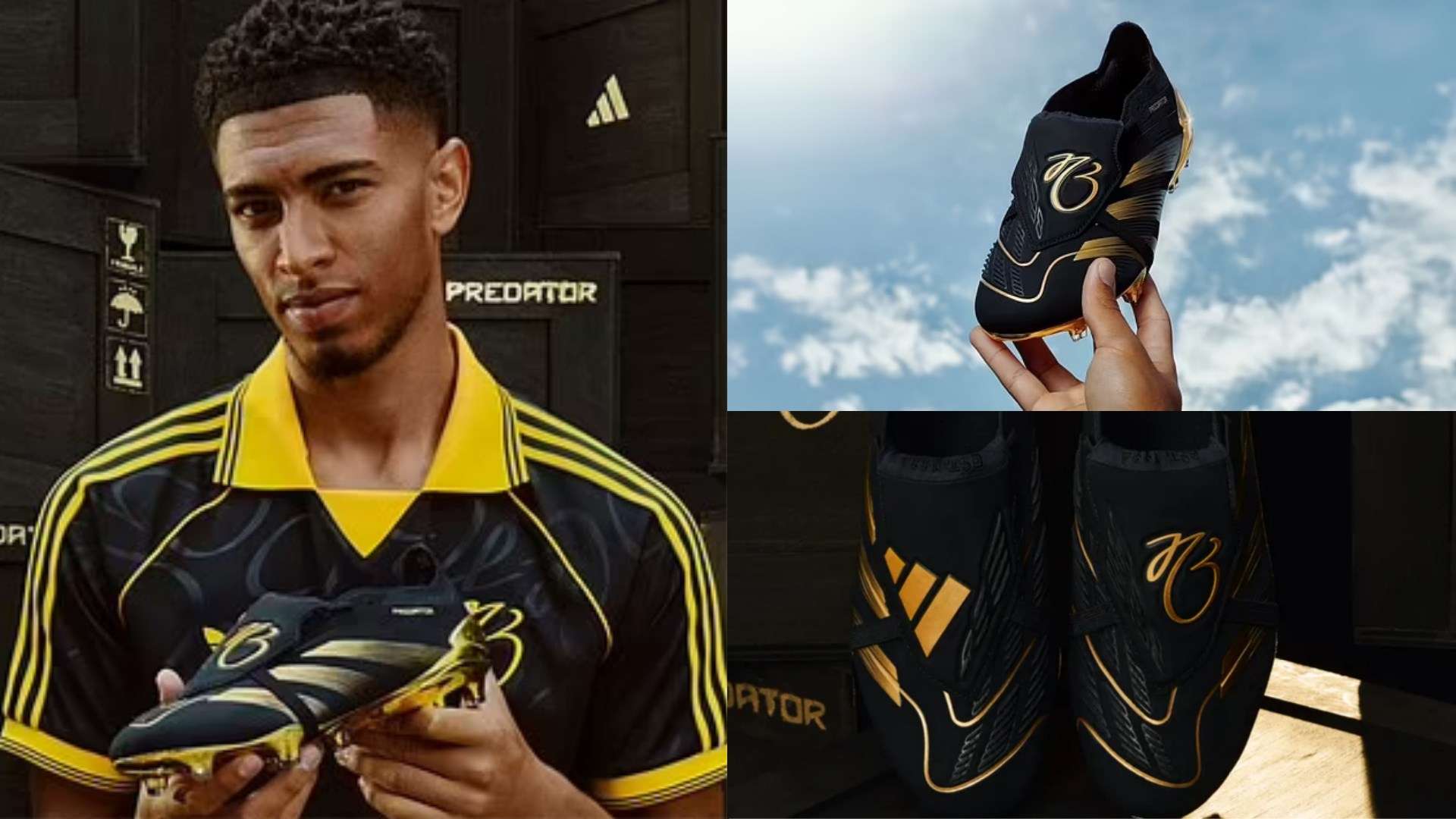 事业的贡献 事业的贡献