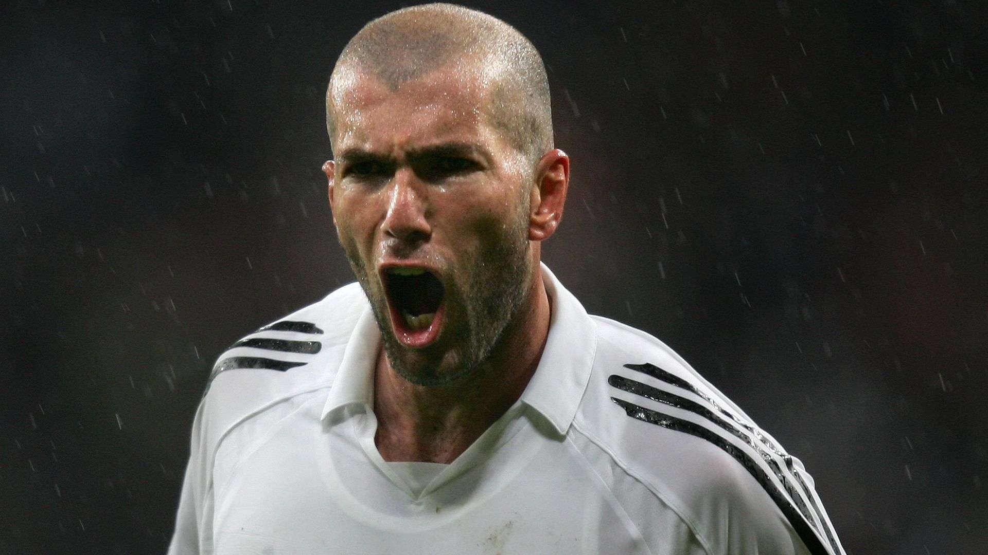 新的政策 新的政策