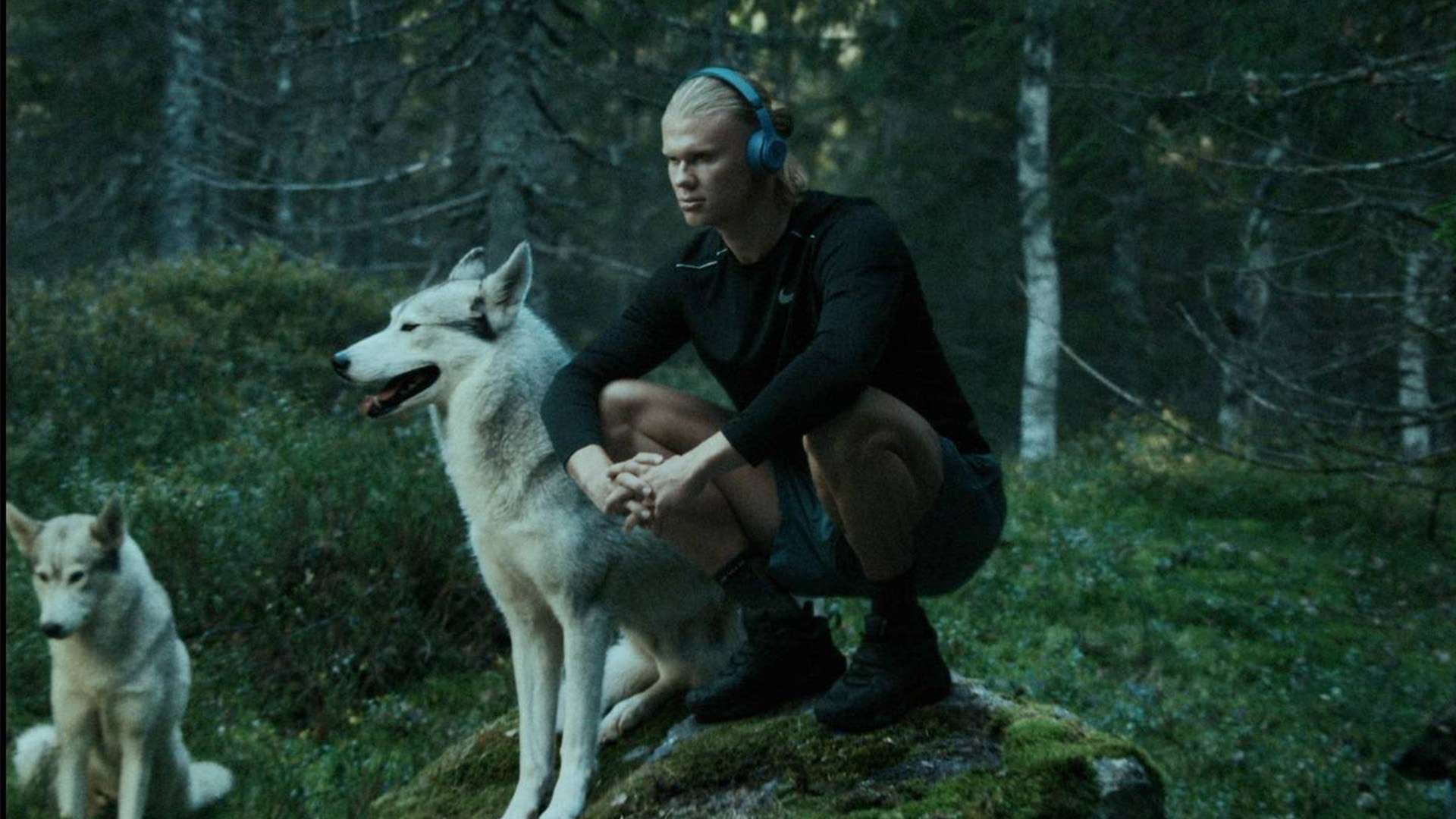 面临着挑战 面临着挑战